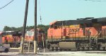 BNSF coal train passes BNSF local